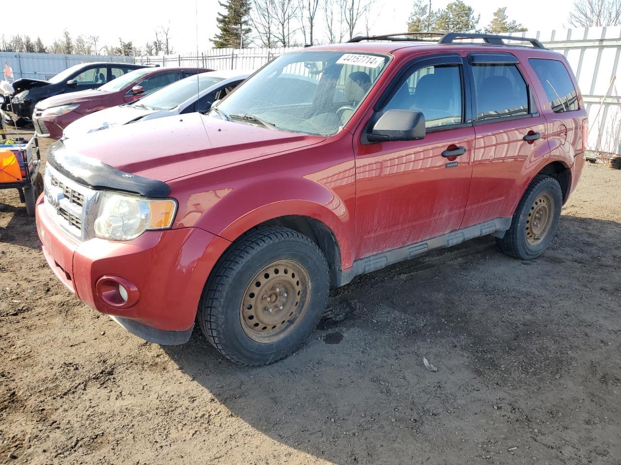 2010 FORD ESCAPE XLT