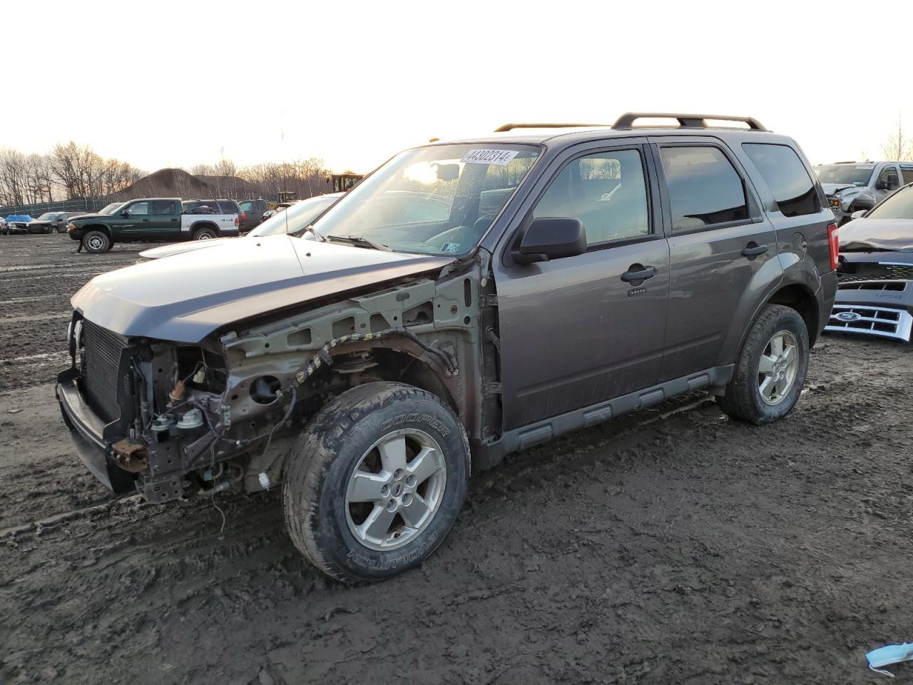 2010 FORD ESCAPE XLT
