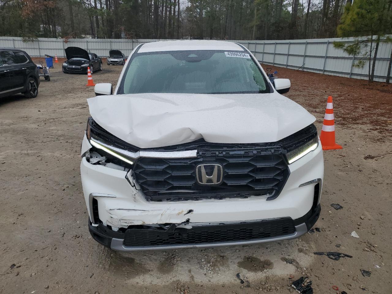 2024 HONDA PILOT EXL - Image 5