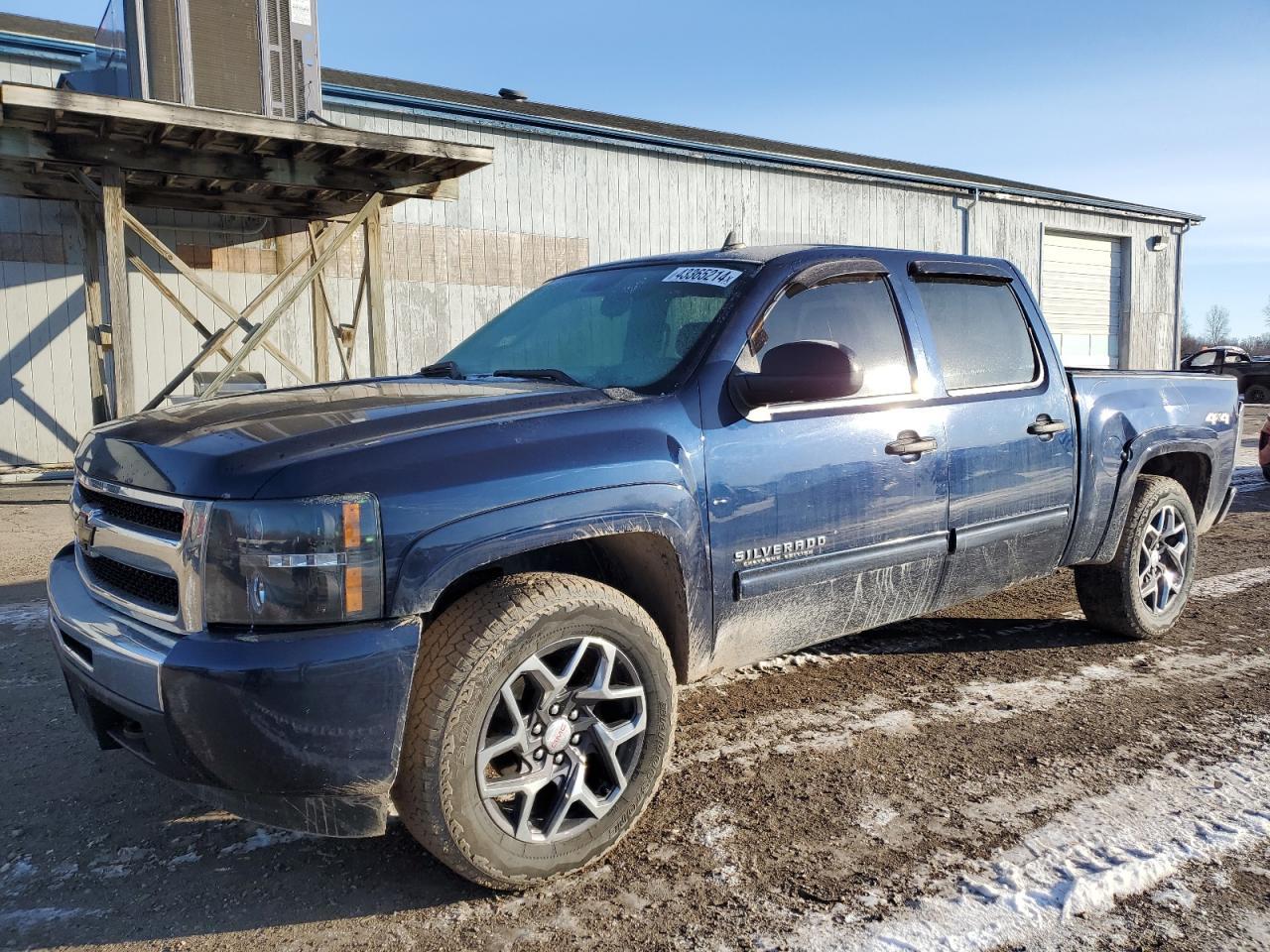 2011 CHEVROLET 1500 SILVE car image