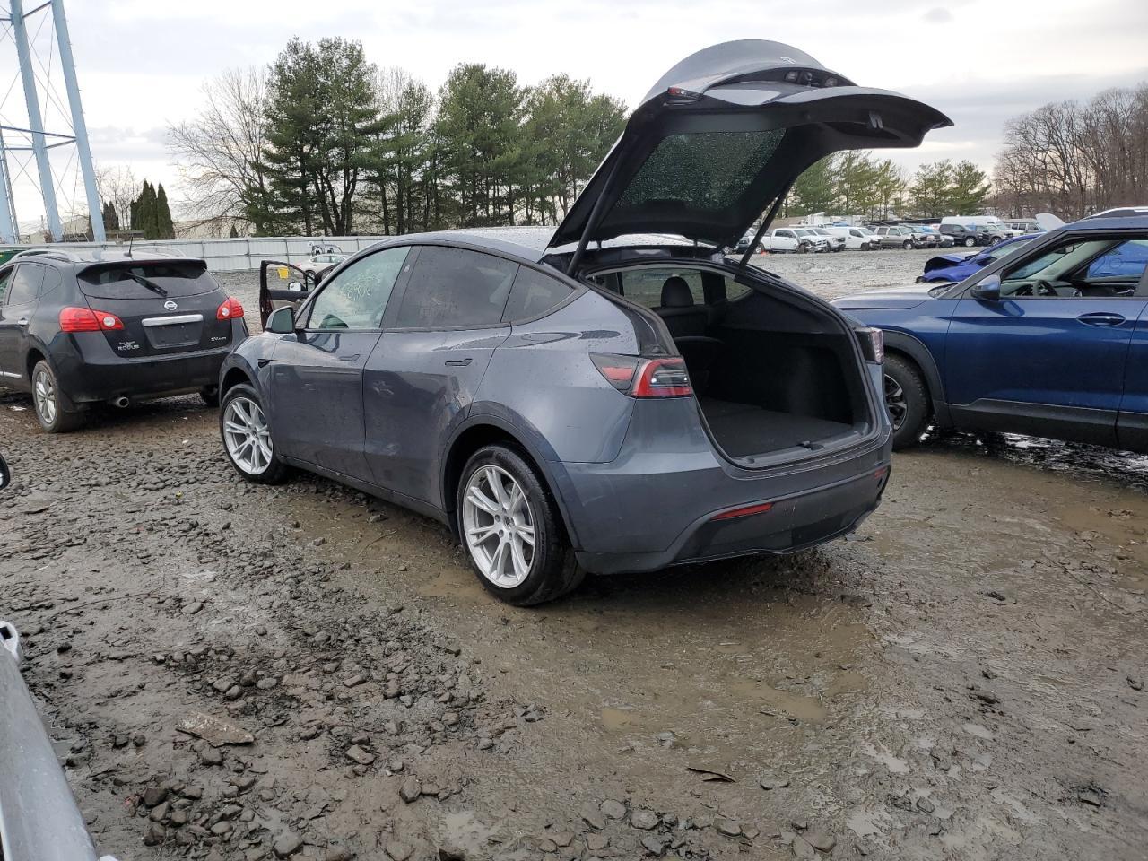 2023 TESLA MODEL Y - Фото 2
