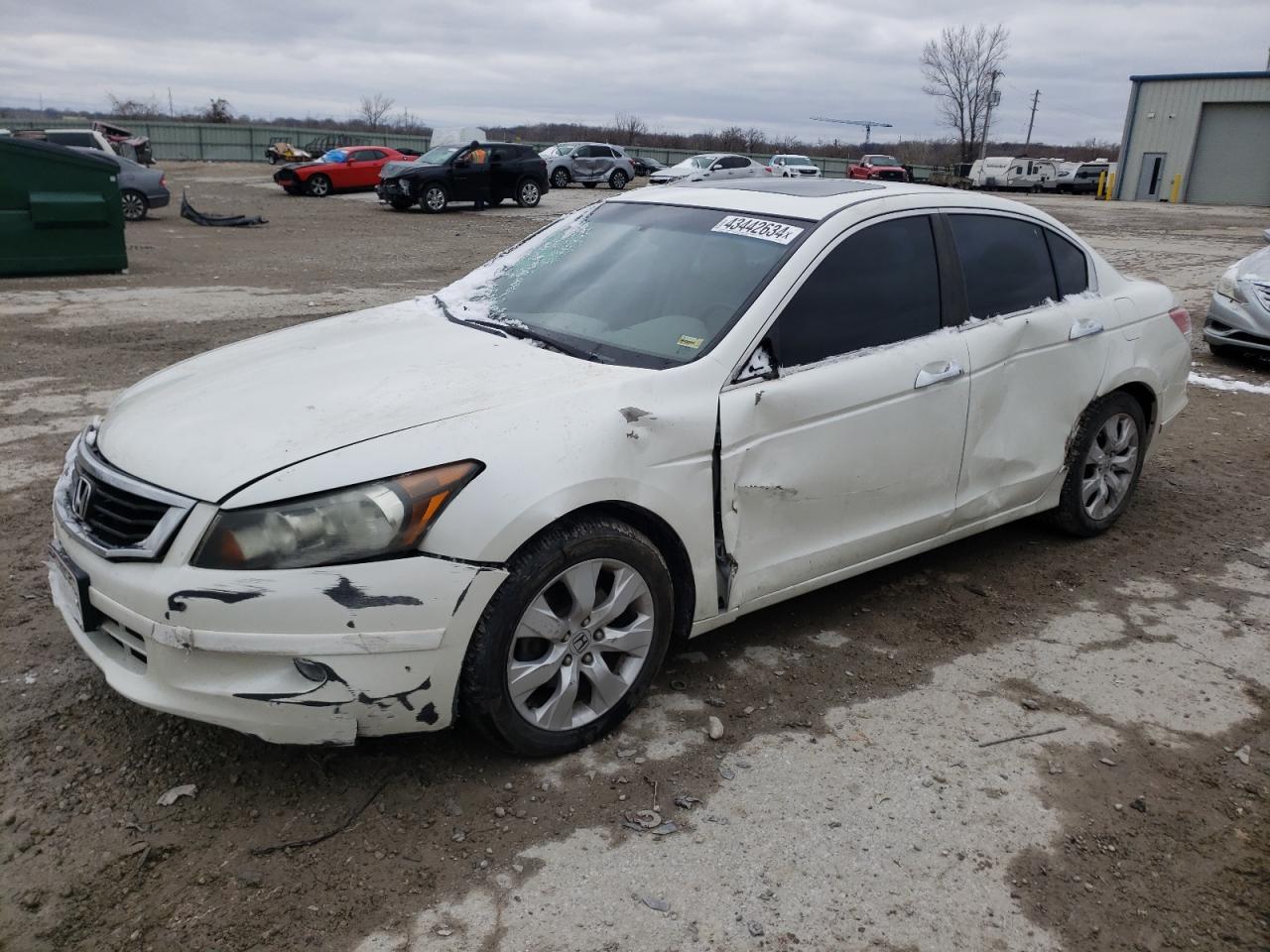 2010 HONDA ACCORD EXL