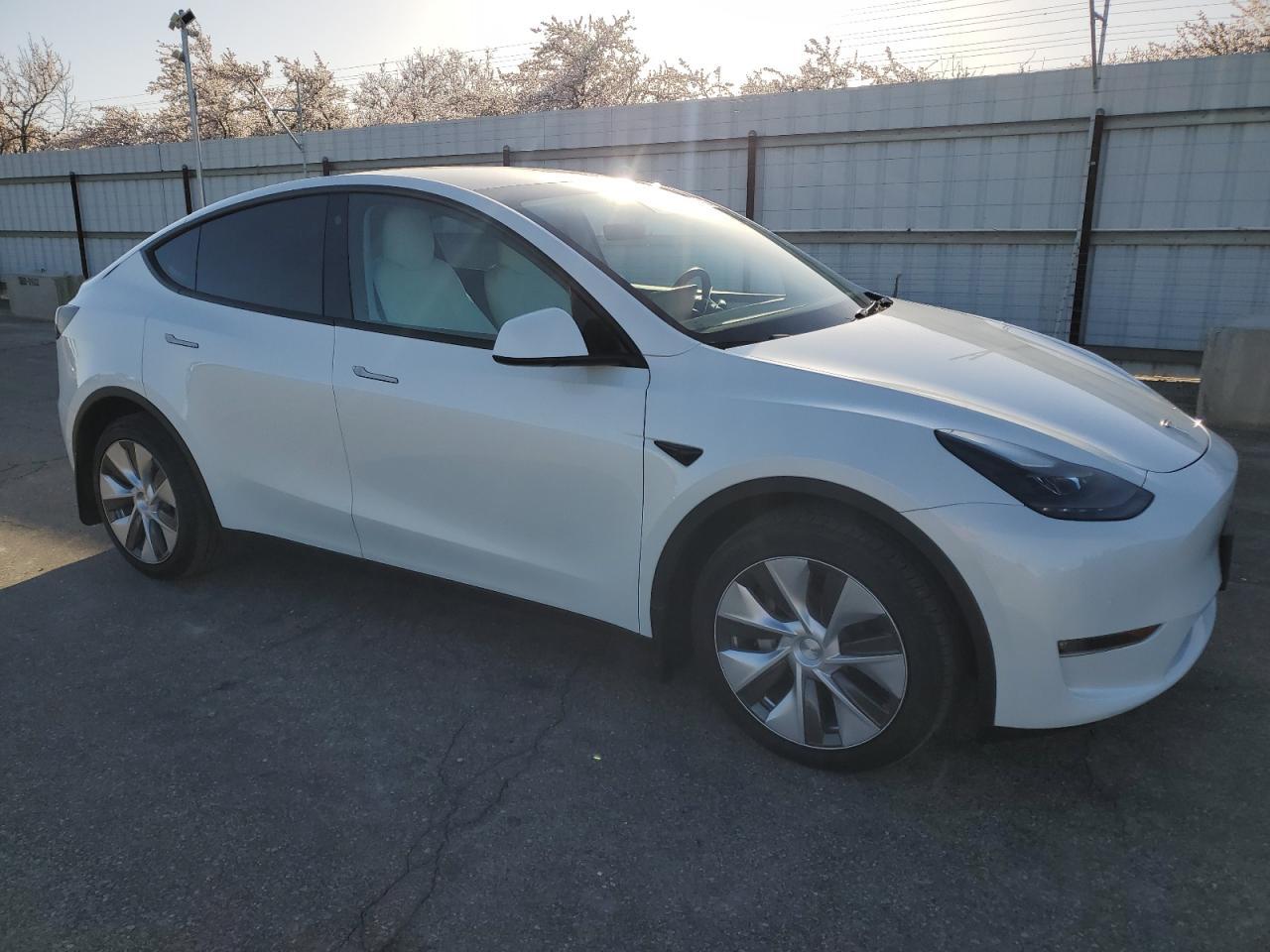 2022 TESLA MODEL Y - Фото 4