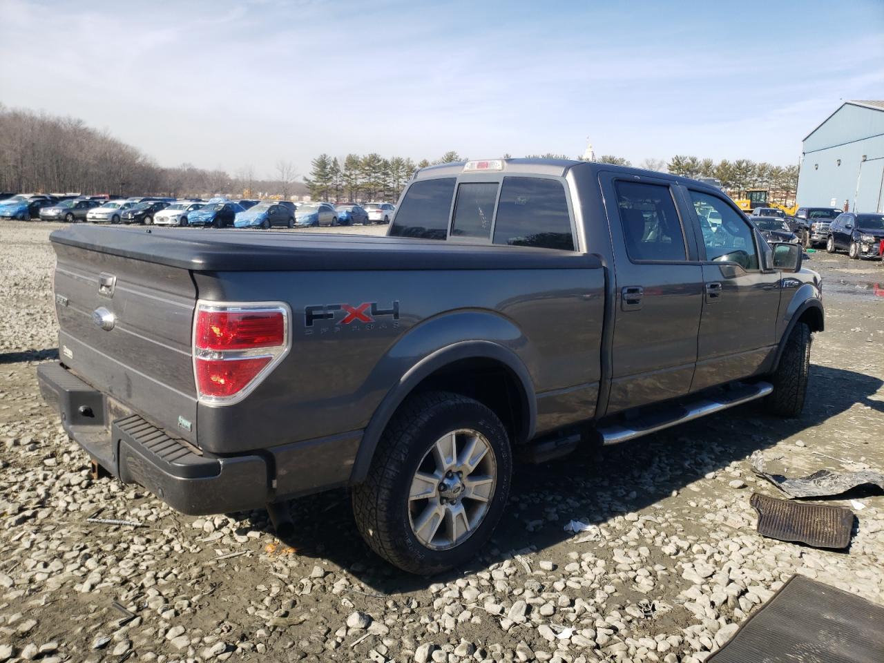 2010 FORD F150 SUPER - Фото 3