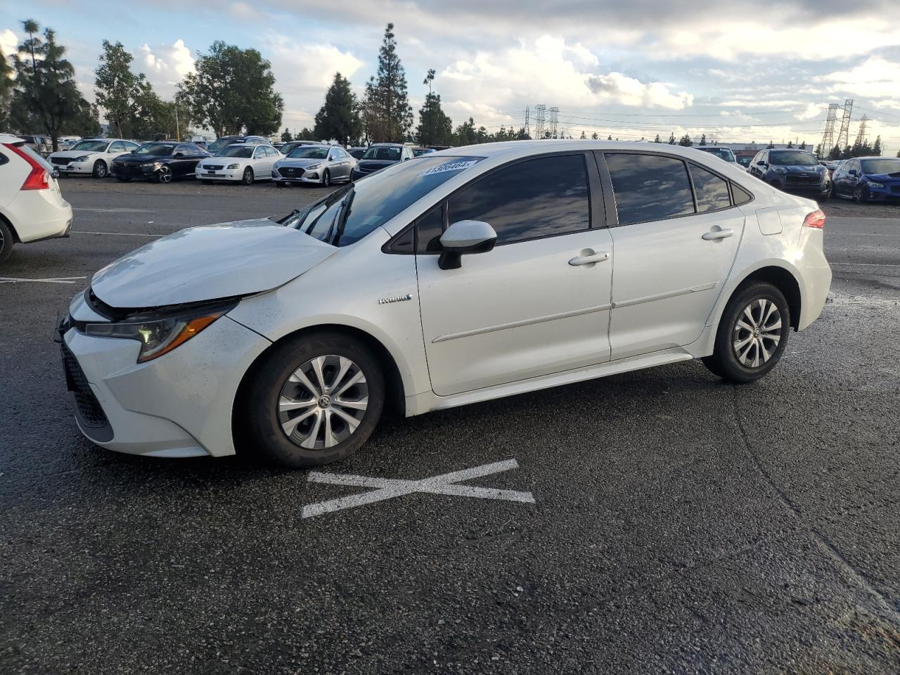 2021 TOYOTA COROLLA LE car image