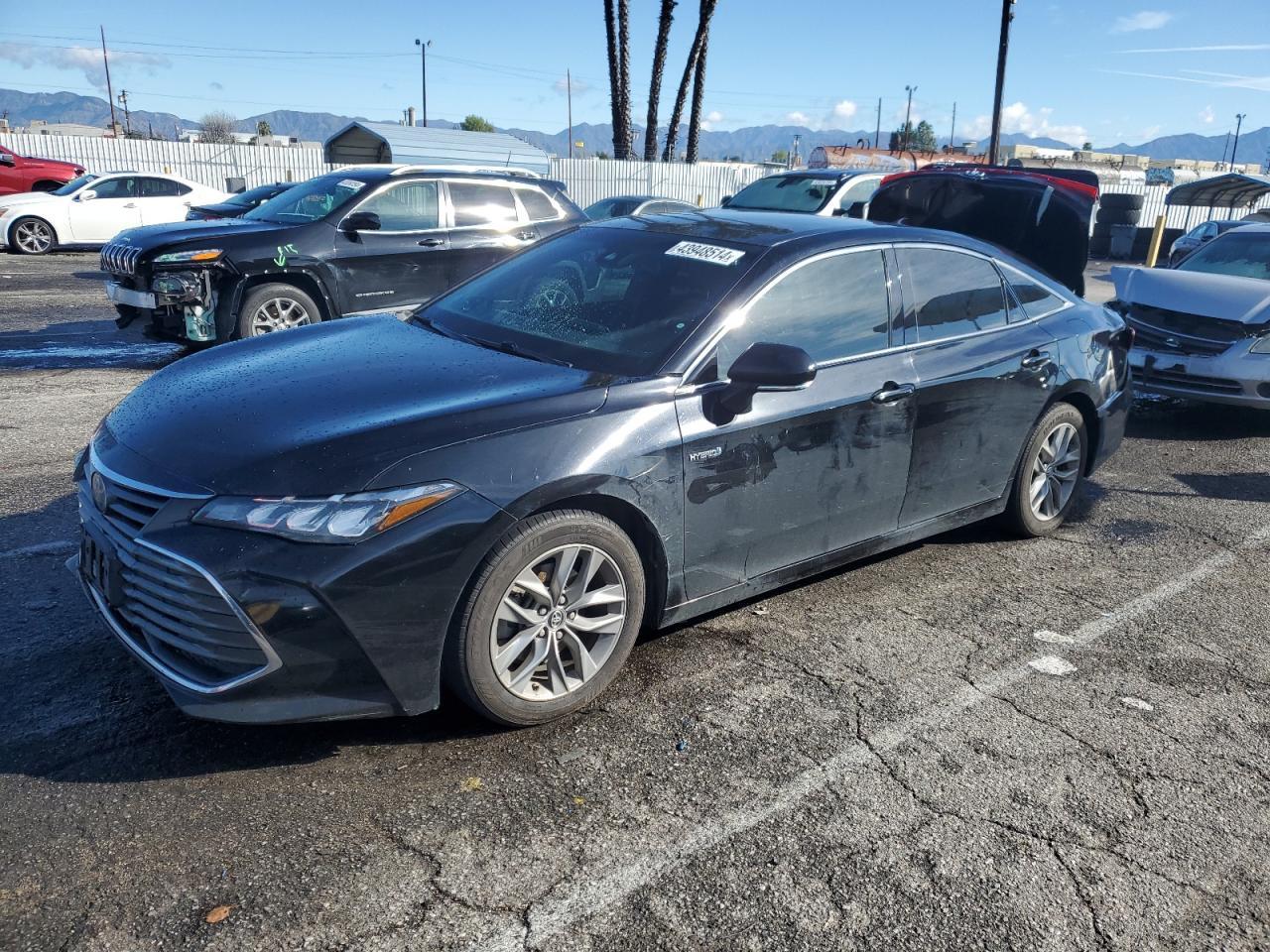 2019 TOYOTA AVALON XLE