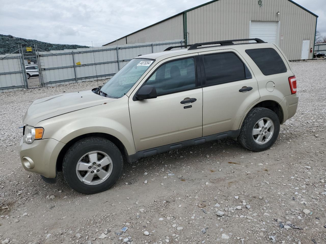 2010 FORD ESCAPE XLT