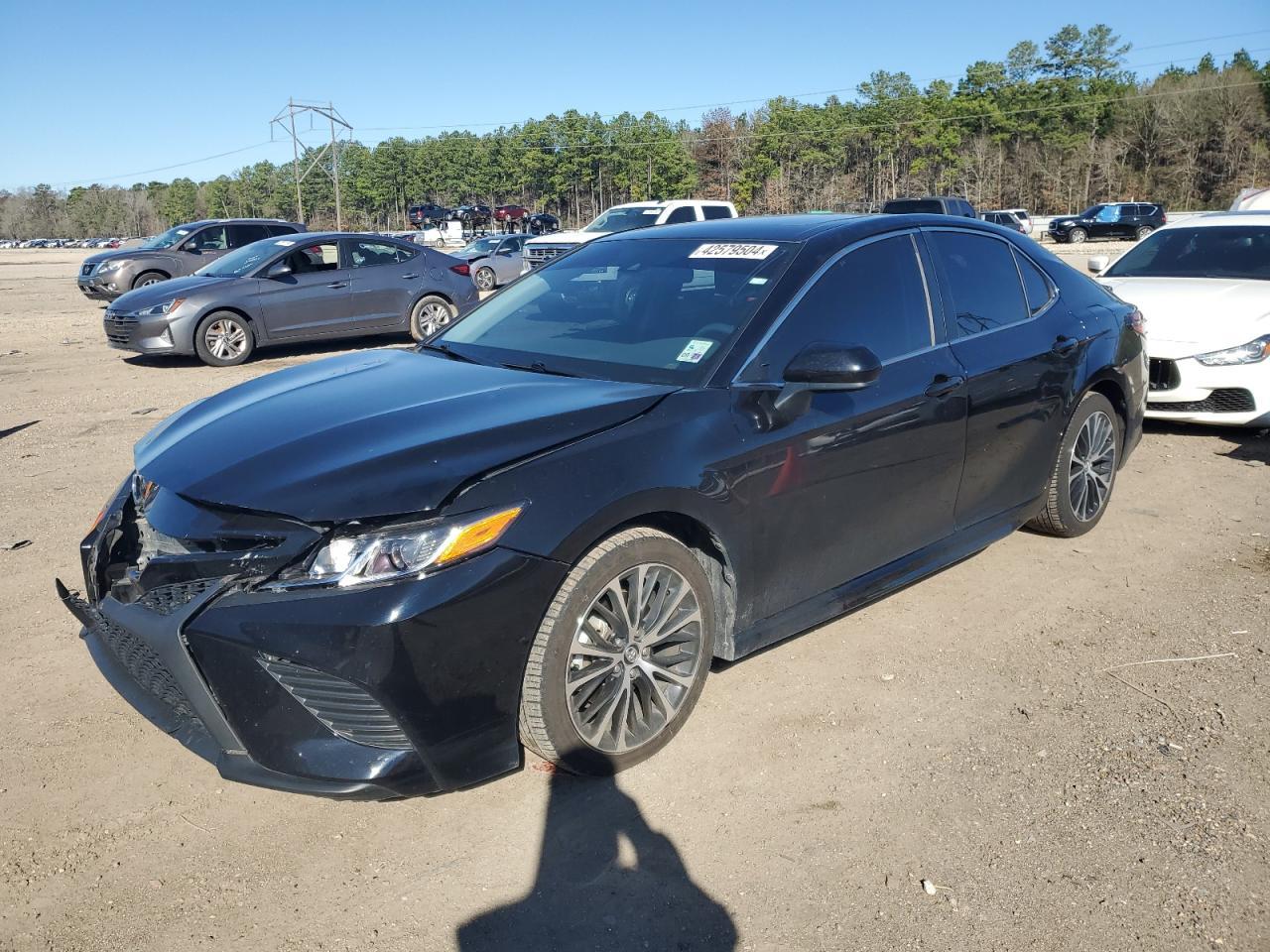 2019 TOYOTA CAMRY L
