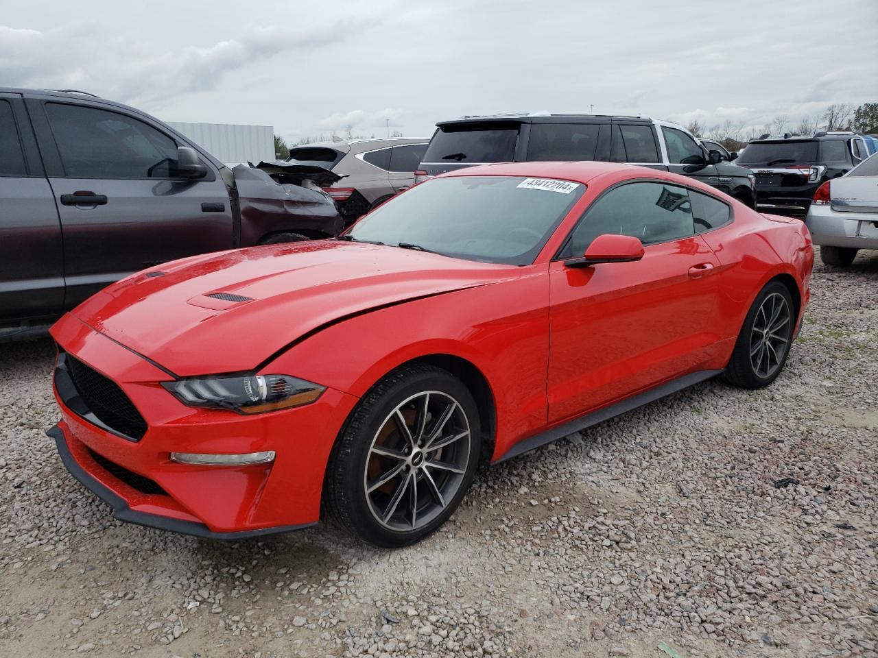 2019 FORD MUSTANG car image