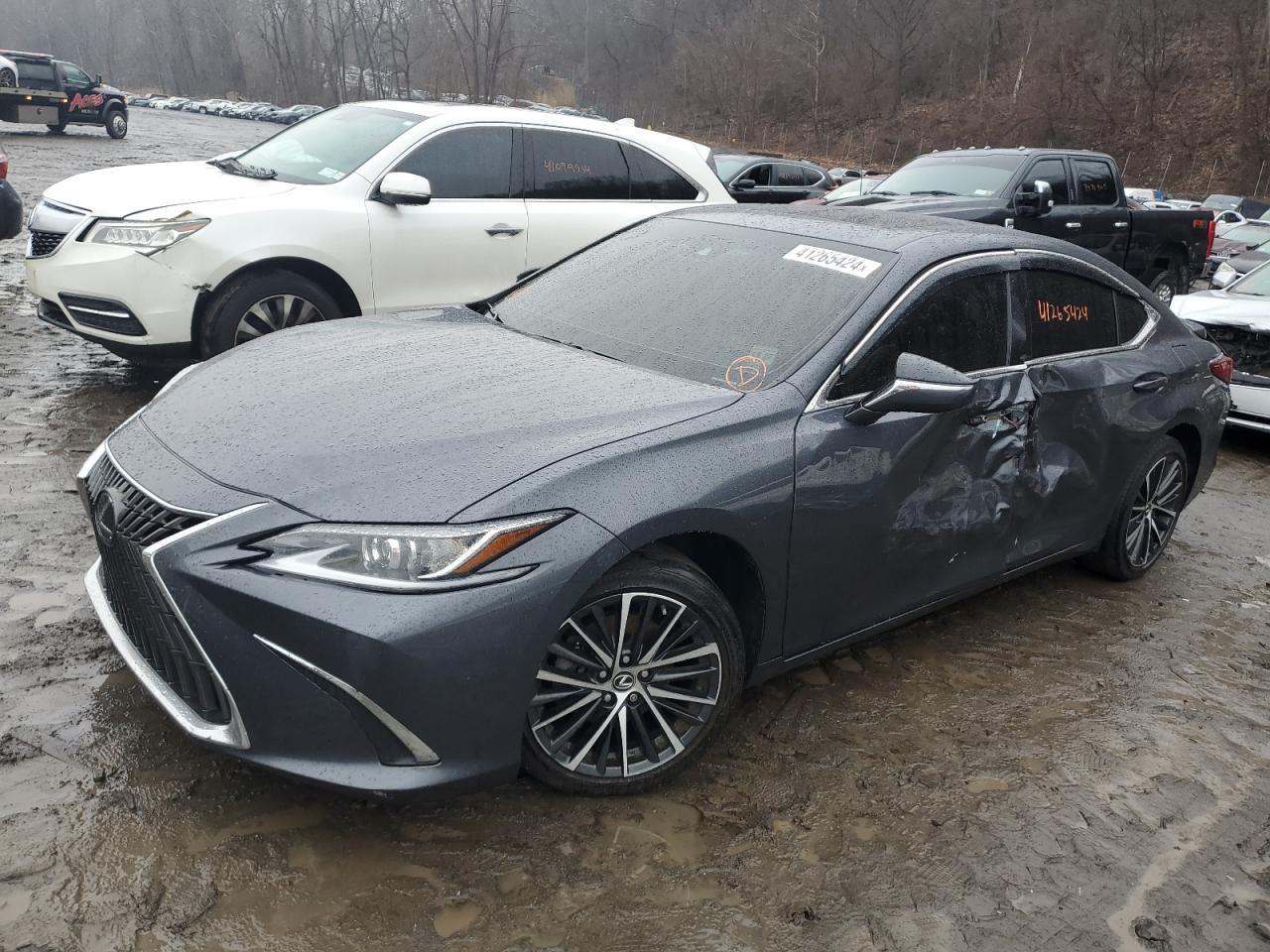 2023 LEXUS ES 300H BA car image