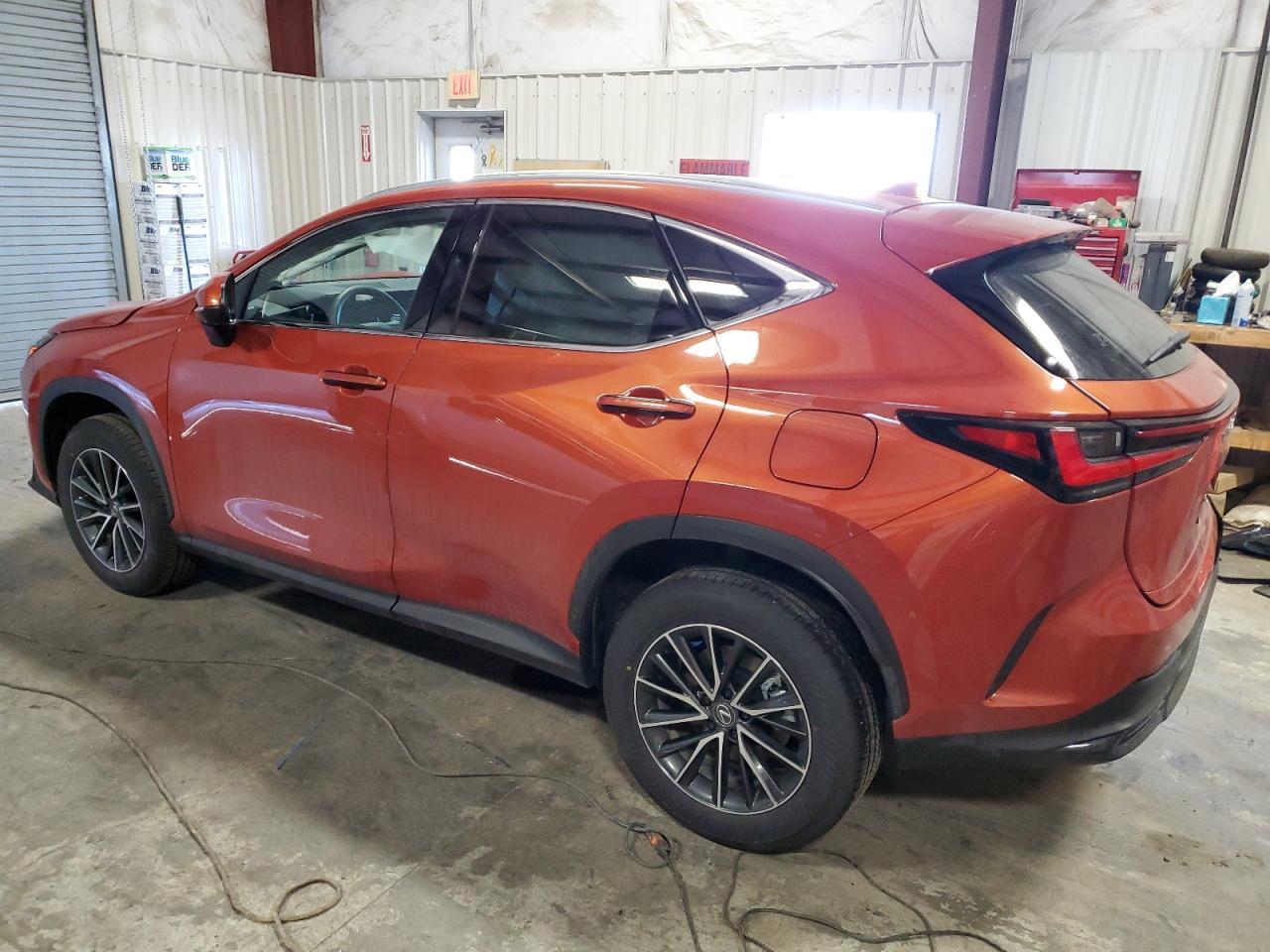 2024 LEXUS NX 350H BA - Image 2