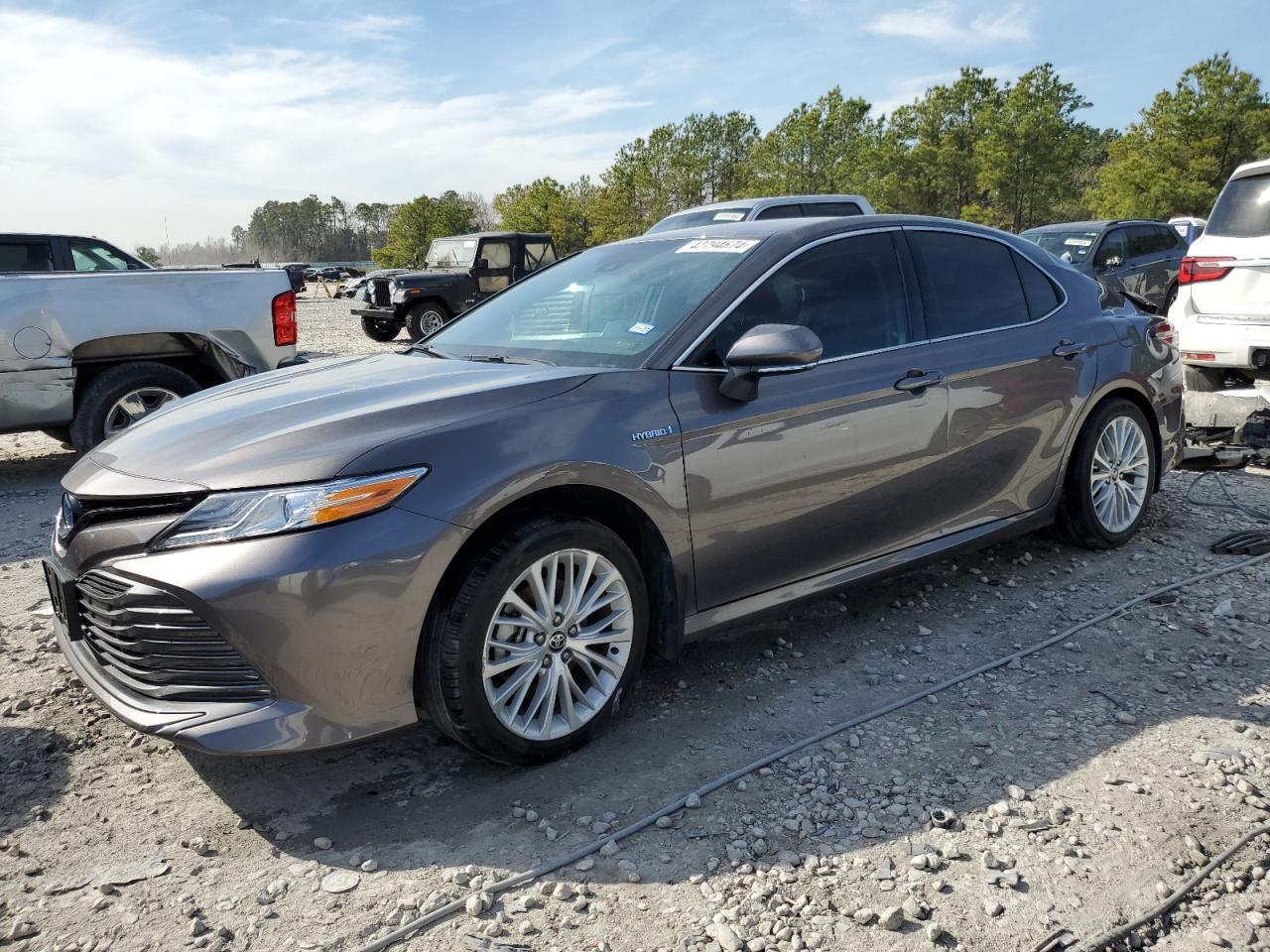 2020 TOYOTA CAMRY XLE car image