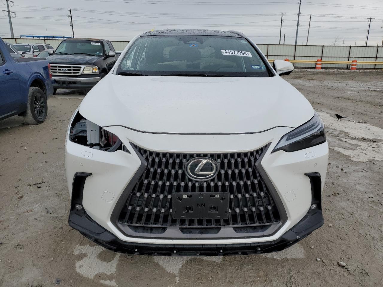 2024 LEXUS NX 350H BA - Фото 5