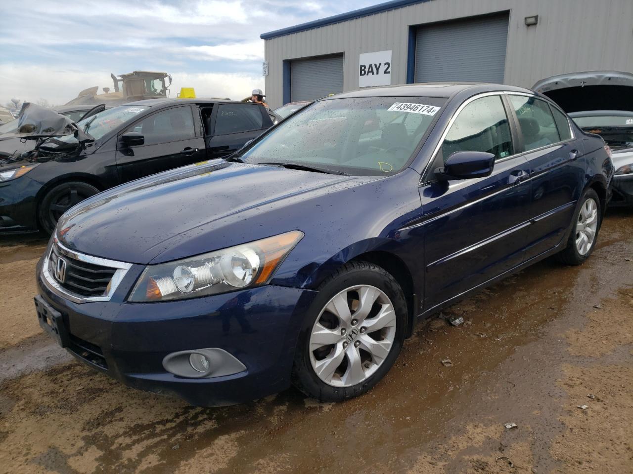 2010 HONDA ACCORD EXL