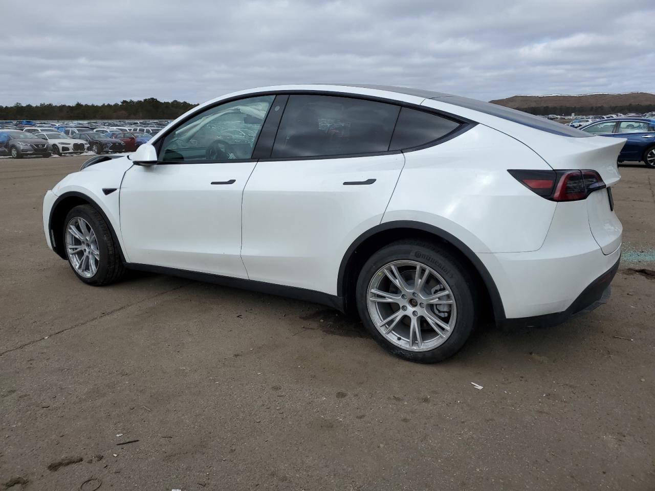 2023 TESLA MODEL Y - Image 2
