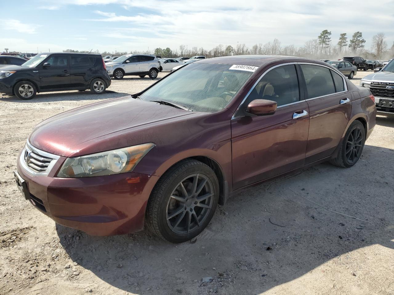 2010 HONDA ACCORD EXL