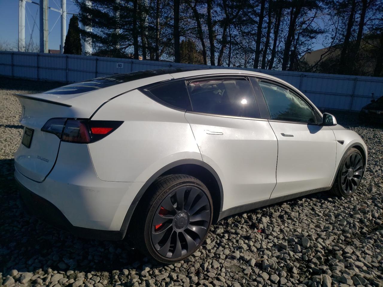 2023 TESLA MODEL Y - Фото 3