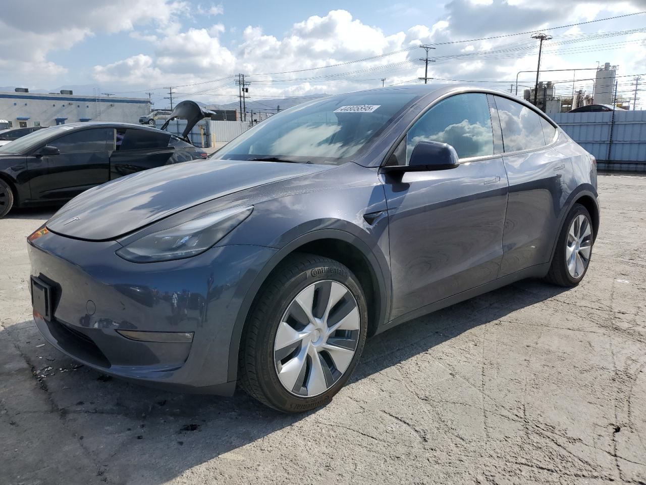 2023 TESLA MODEL Y car image