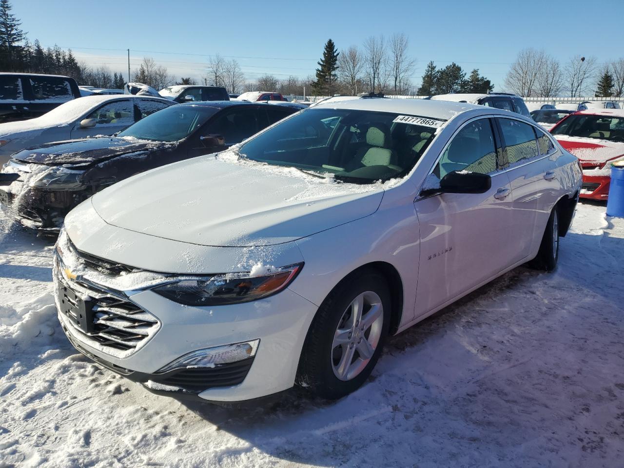 2019 CHEVROLET MALIBU LS
