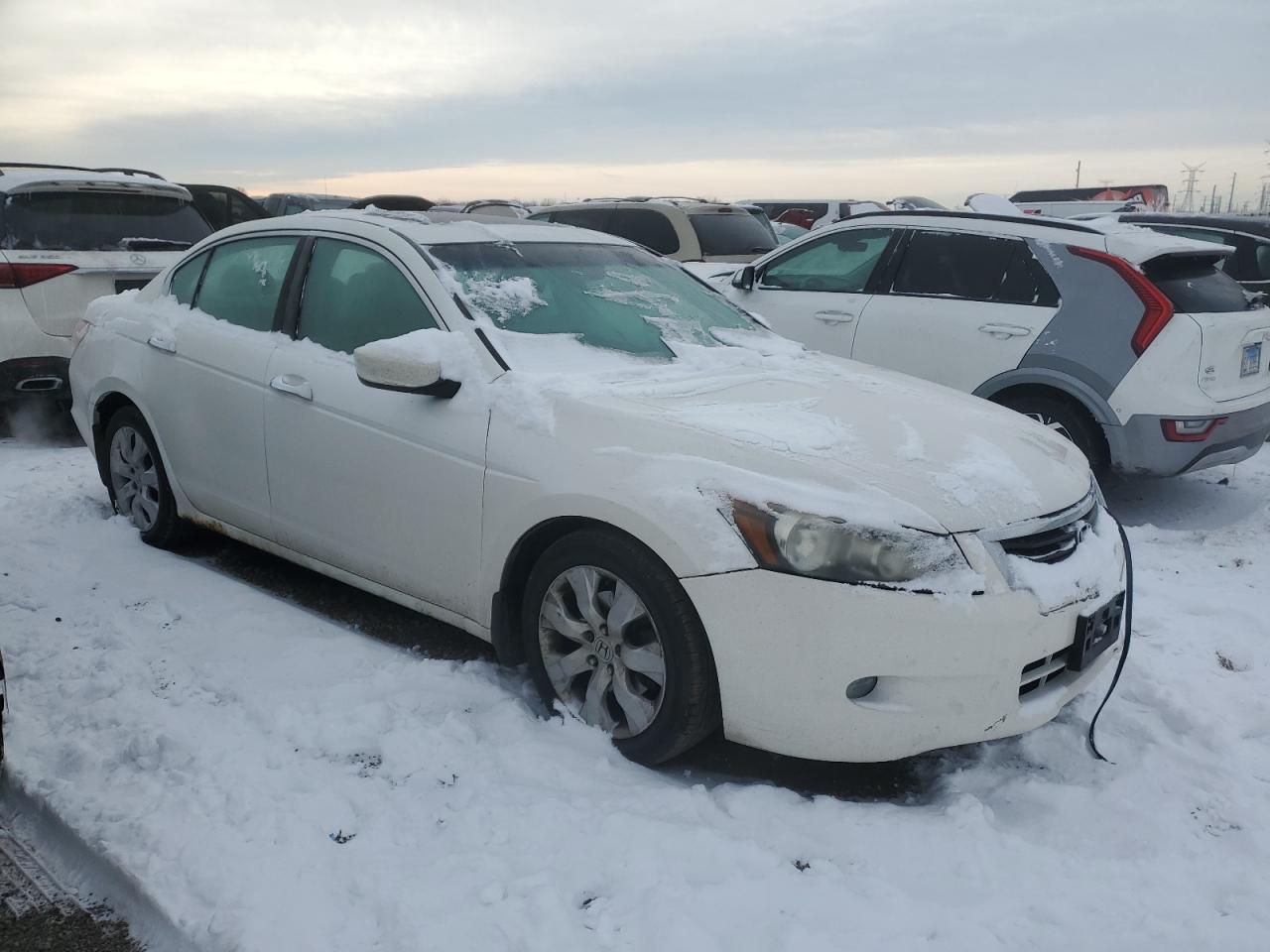 2010 HONDA ACCORD EXL - Image 4