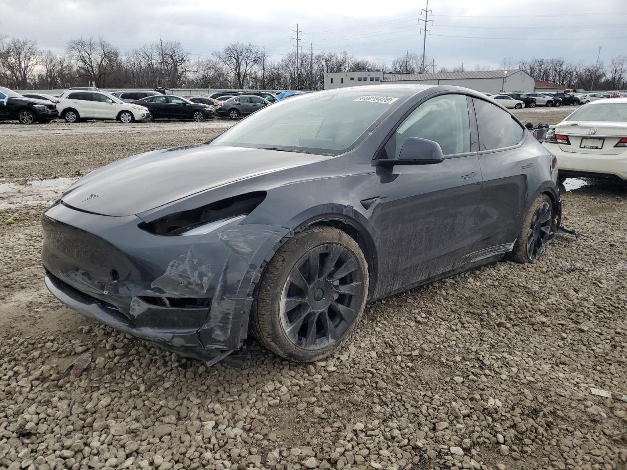 2024 TESLA MODEL Y