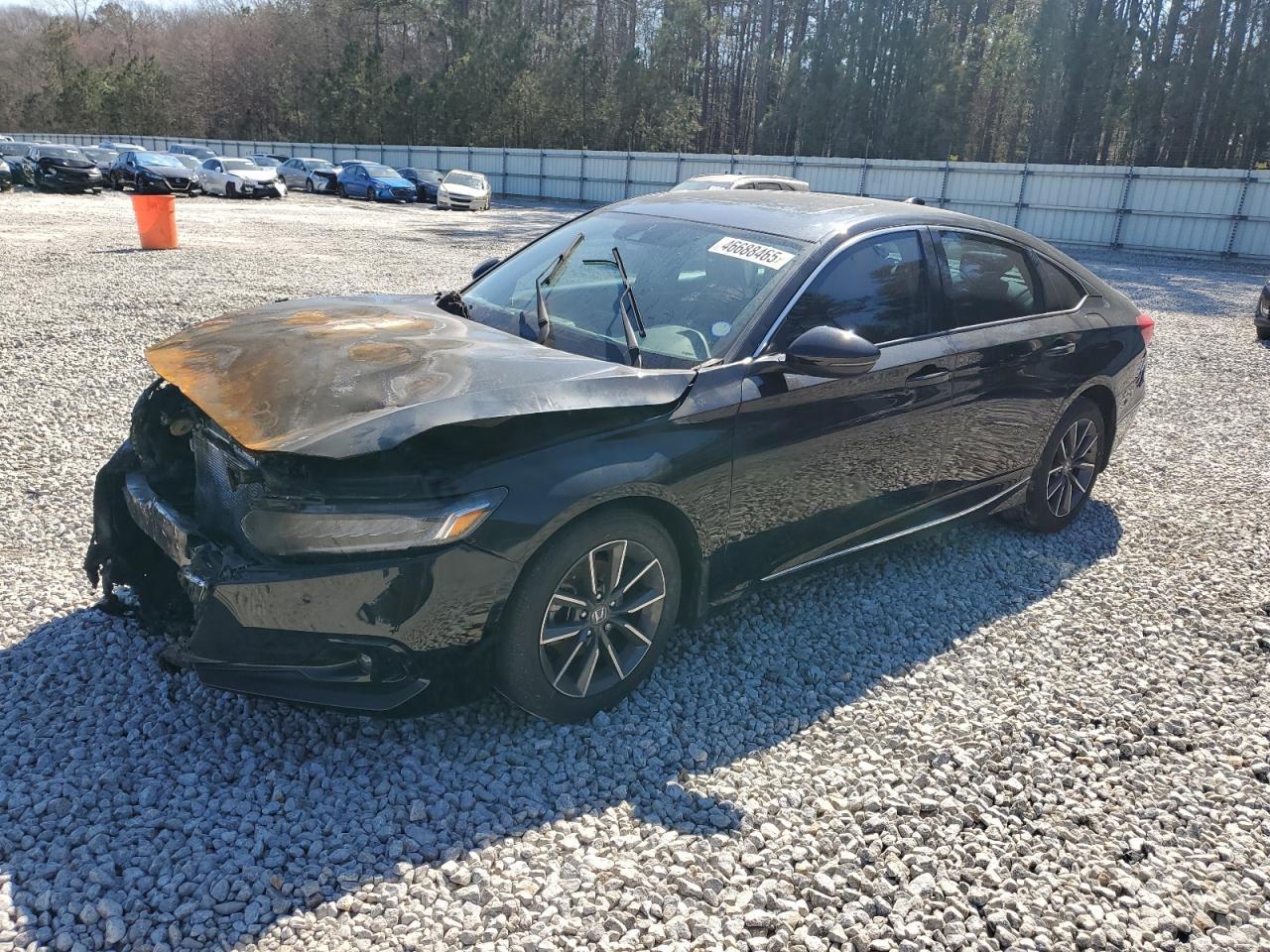 2022 HONDA ACCORD EXL