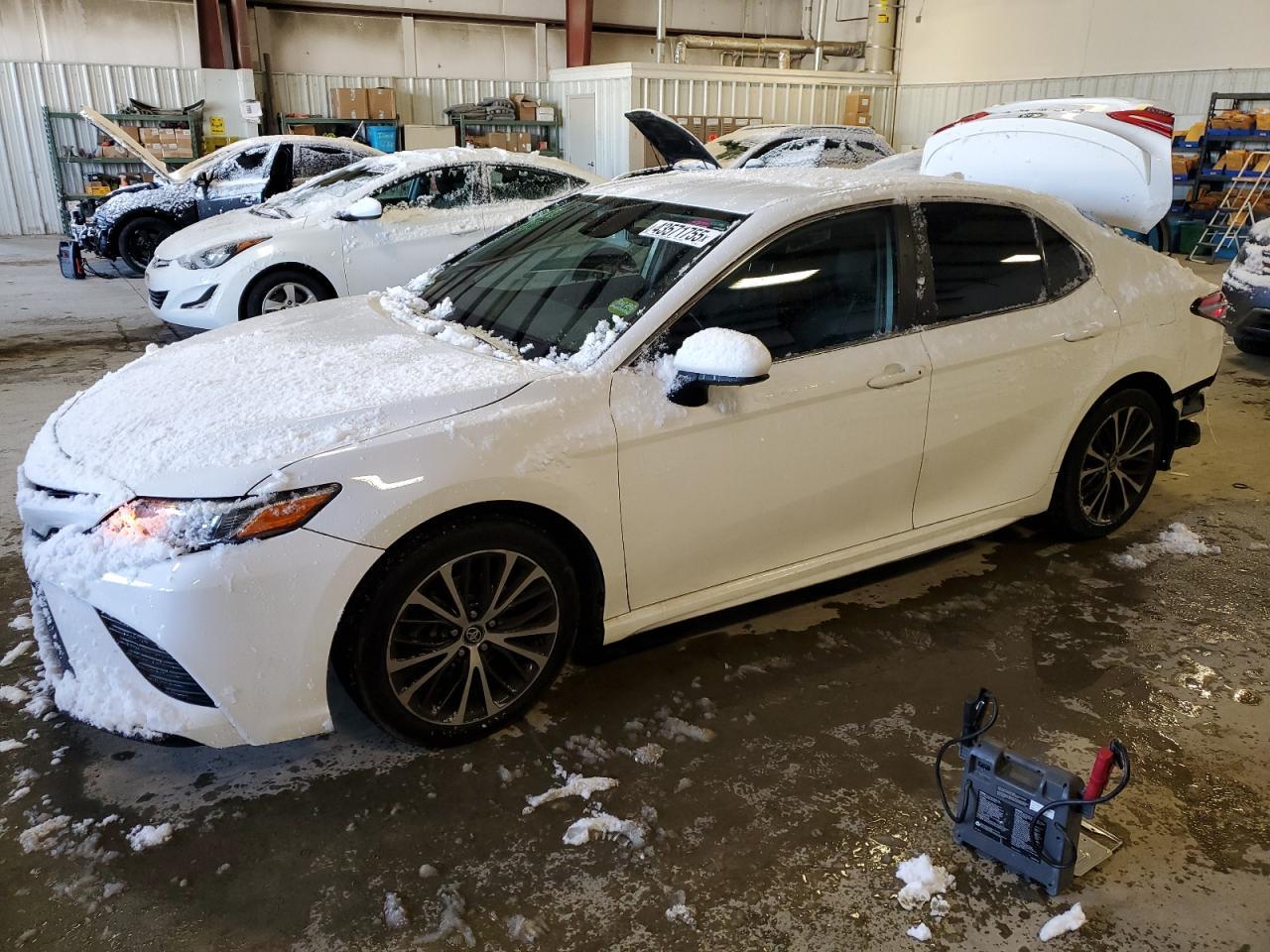 2019 TOYOTA CAMRY L