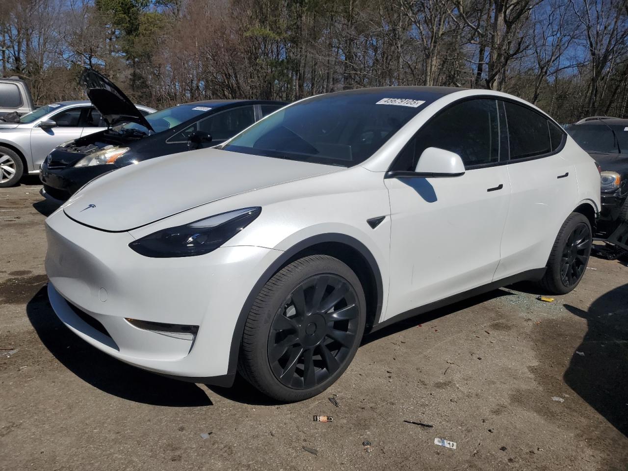 2024 TESLA MODEL Y