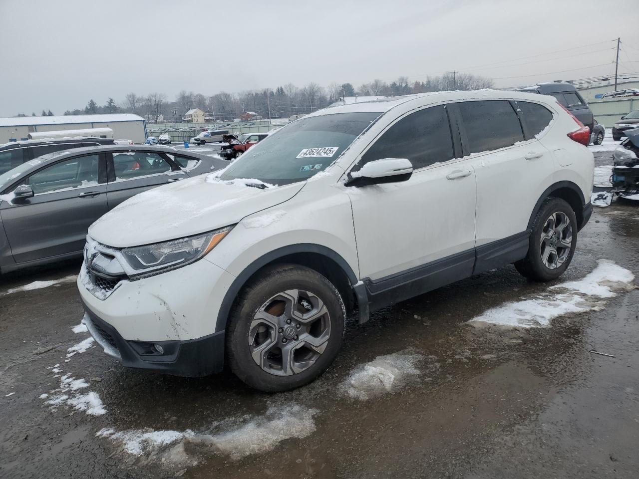 2019 HONDA CR-V EX