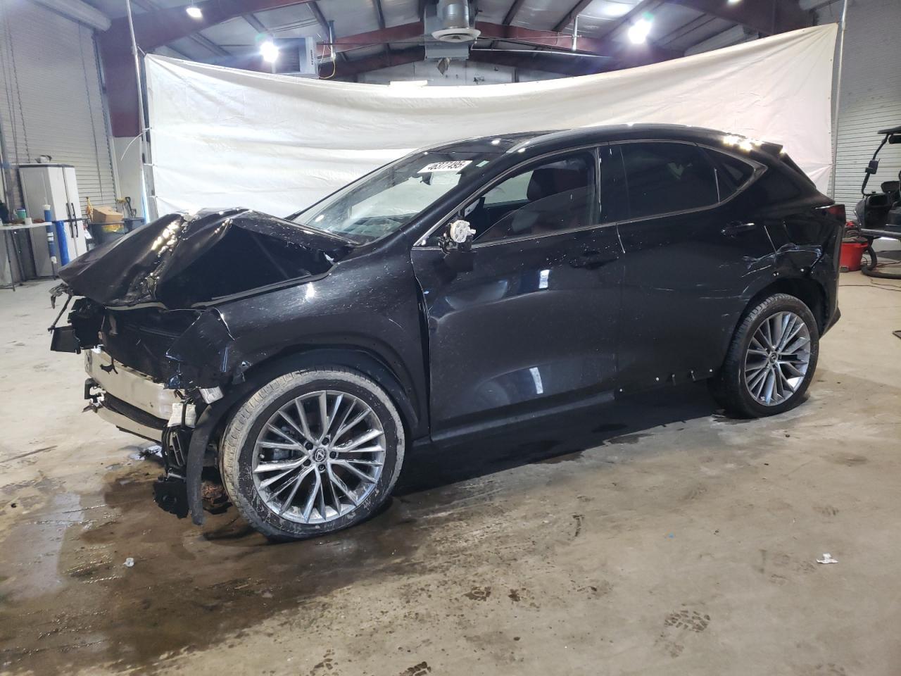 2024 LEXUS NX 350 LUX