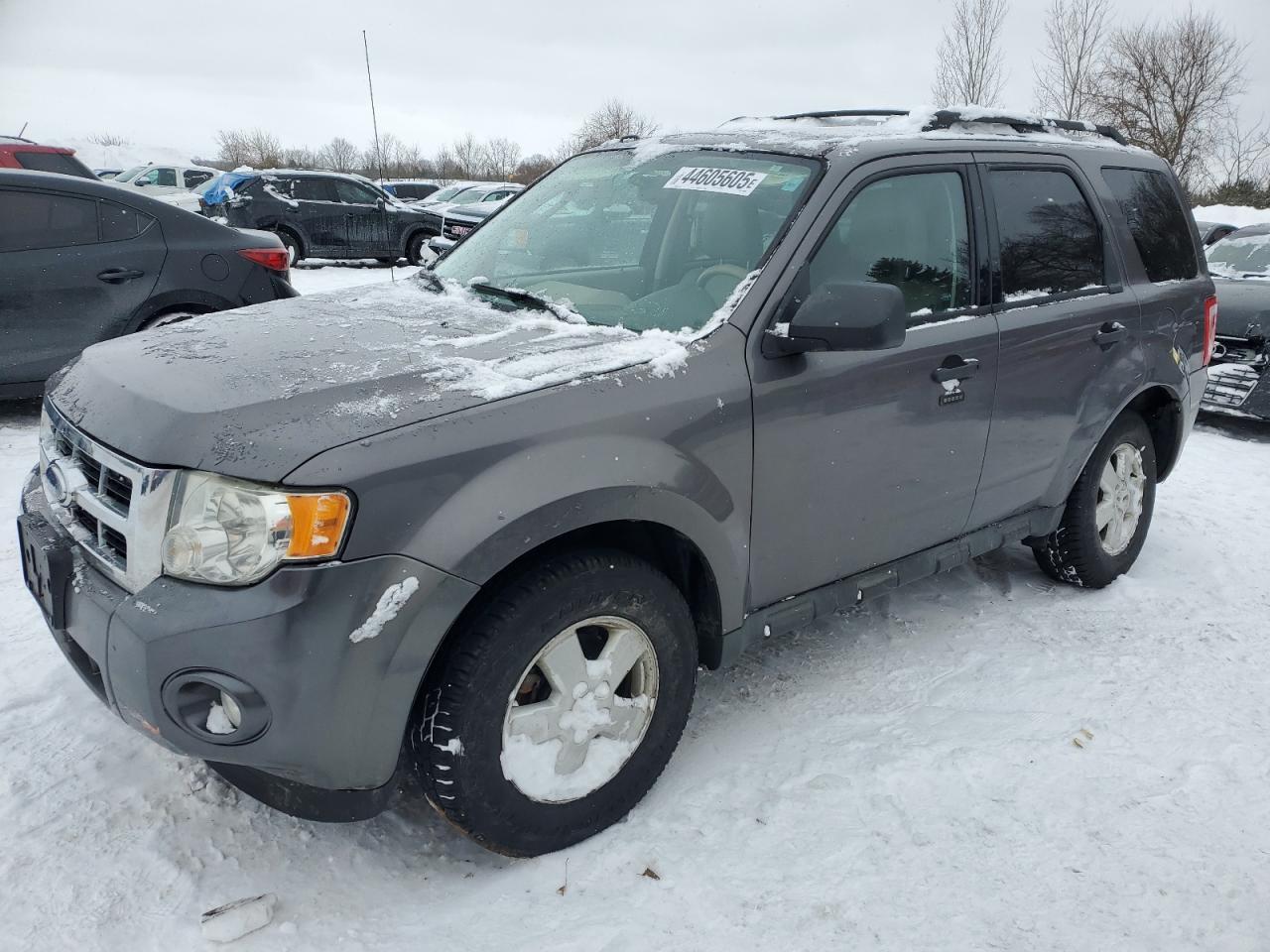 2010 FORD ESCAPE XLT