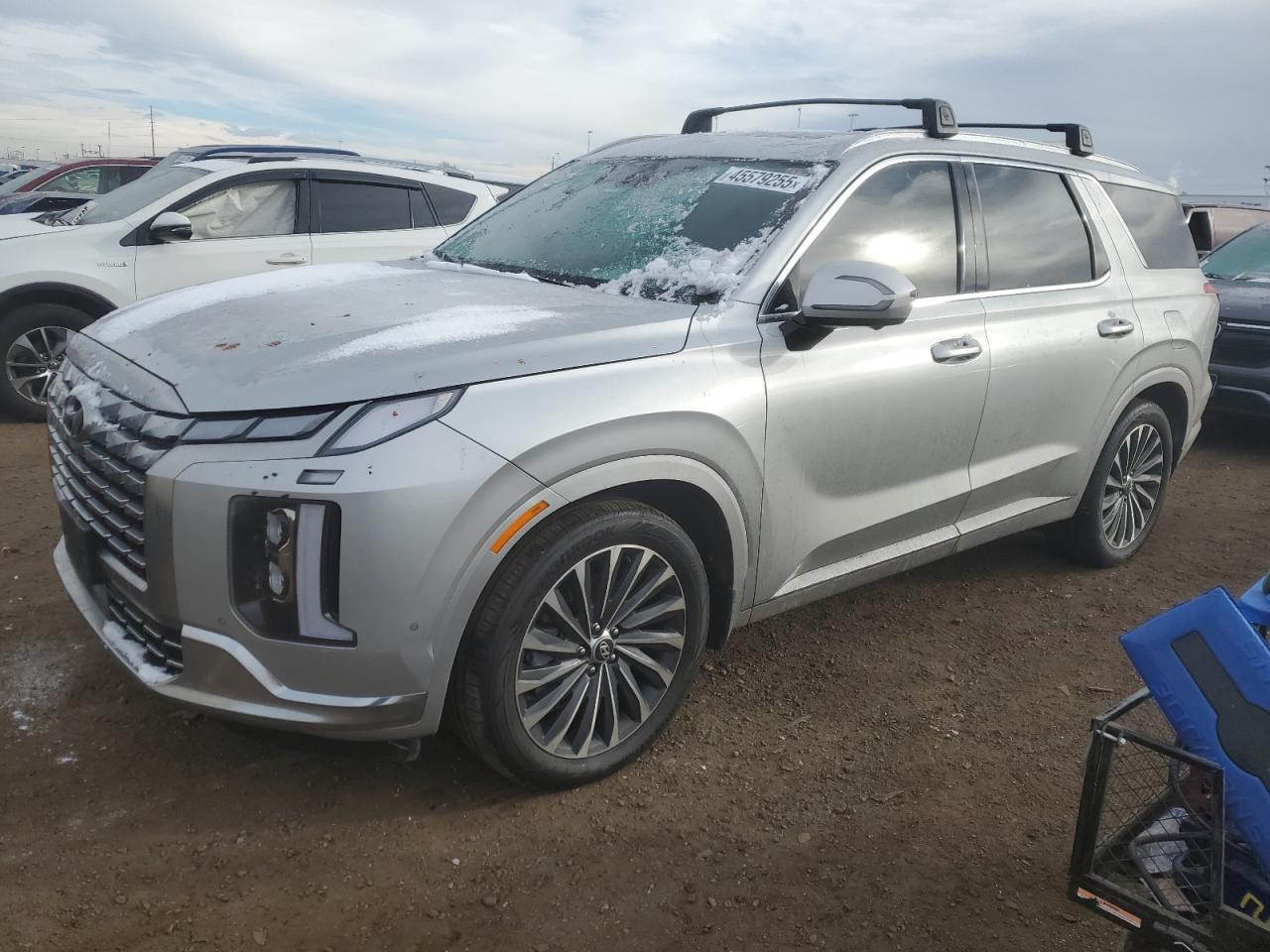 2024 HYUNDAI PALISADE C