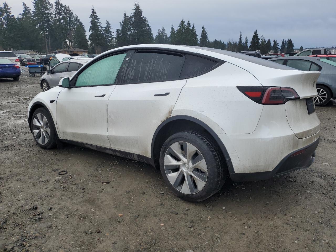 2023 TESLA MODEL Y - Image 2
