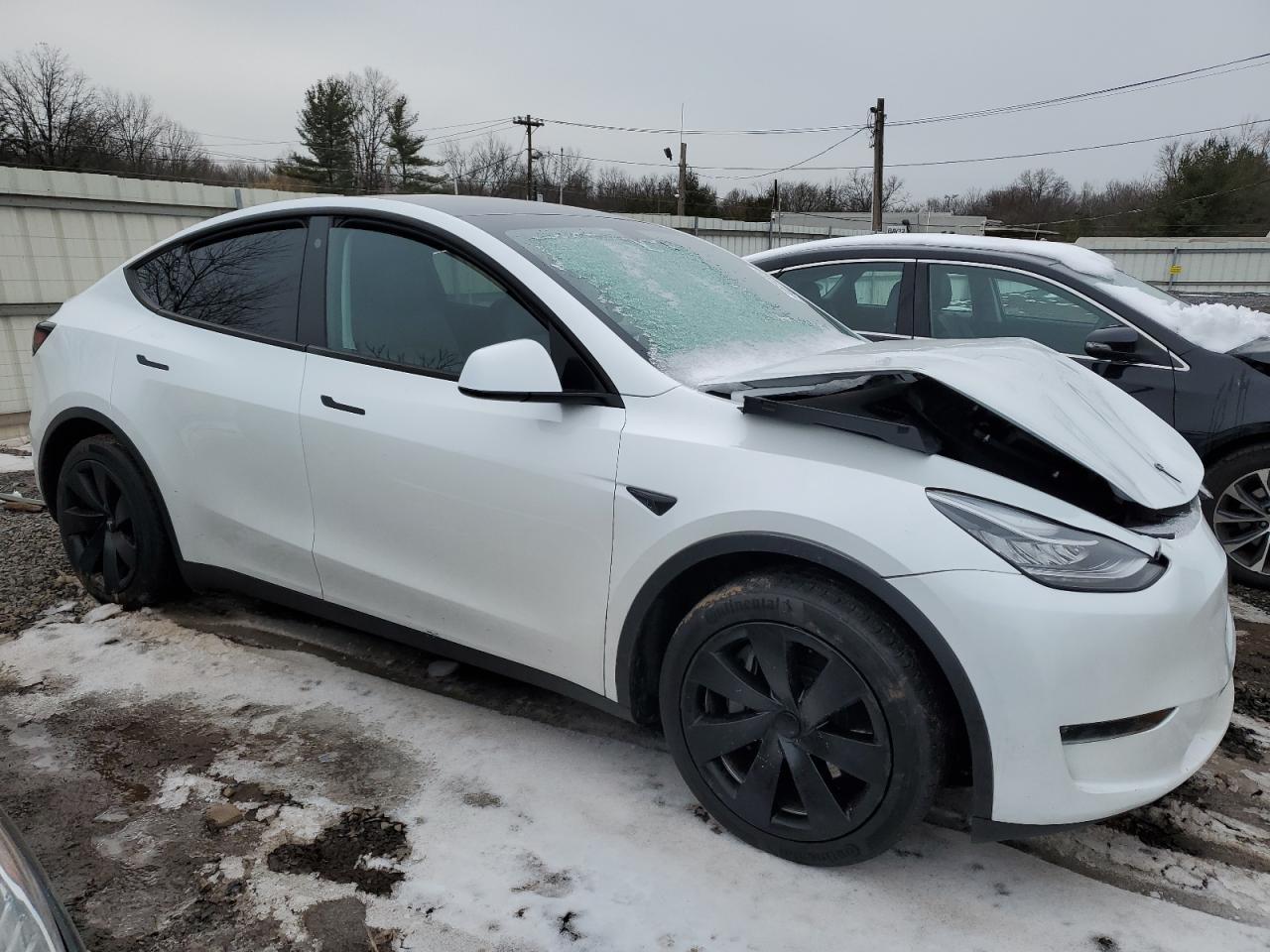 2023 TESLA MODEL Y - Фото 4
