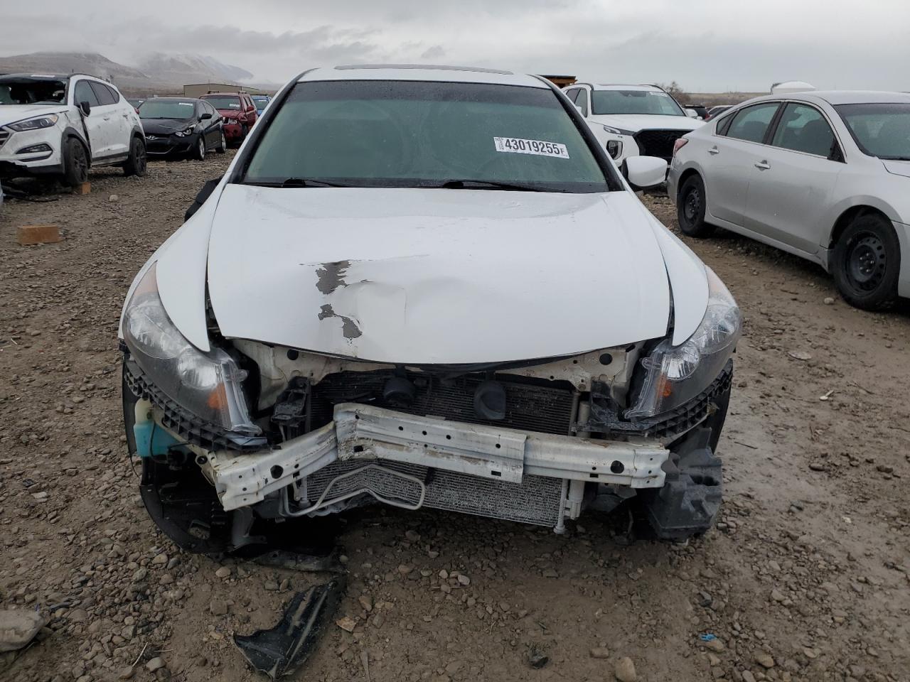2010 HONDA ACCORD EXL - Фото 5
