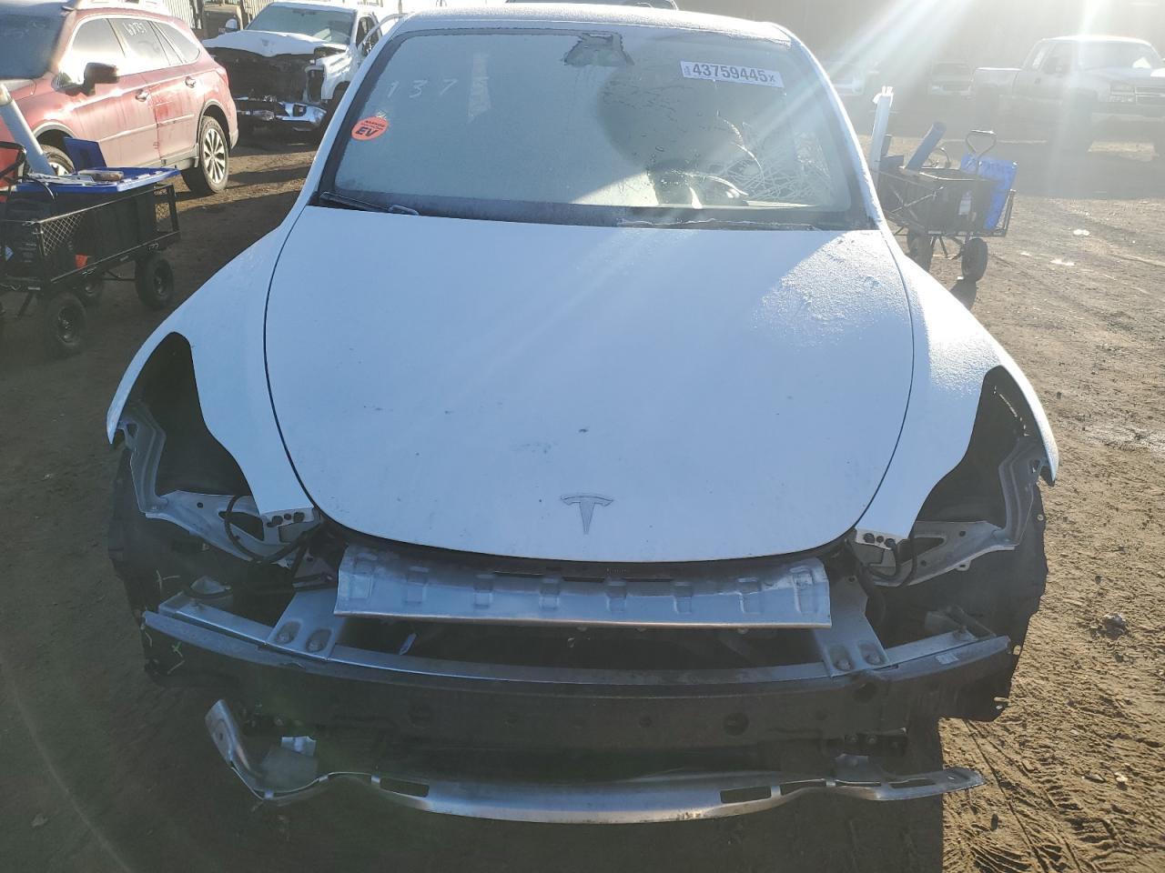 2024 TESLA MODEL Y - Image 5