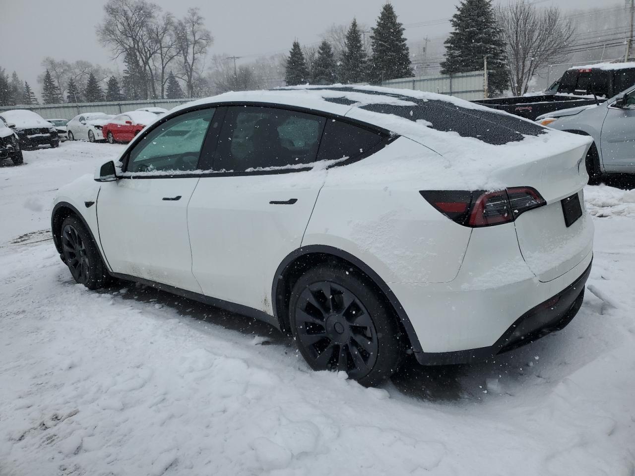 2023 TESLA MODEL Y - Фото 2