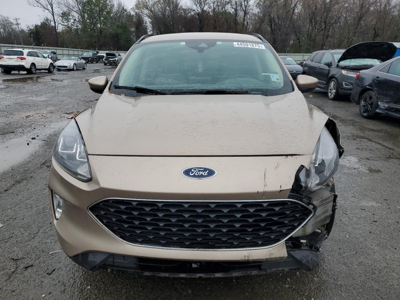 2020 FORD ESCAPE SEL - Фото 5