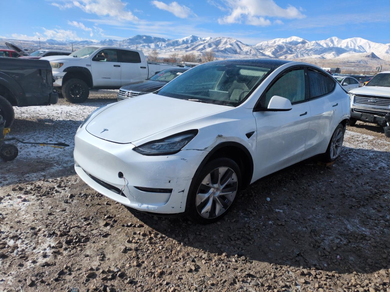 2023 TESLA MODEL Y