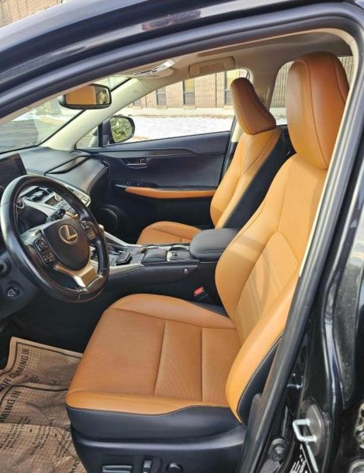 2020 LEXUS NX 300H - Image 5