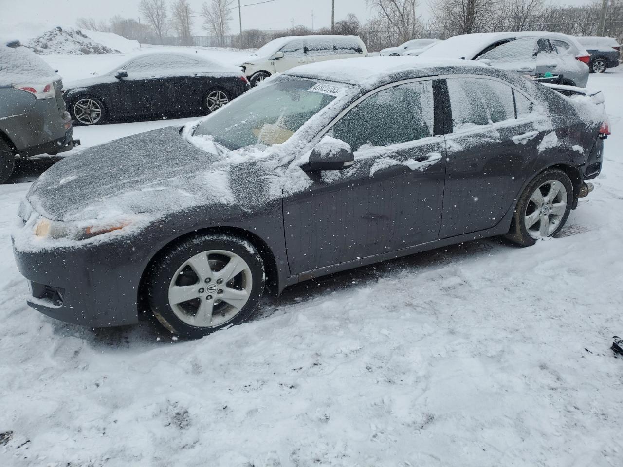 2010 ACURA TSX