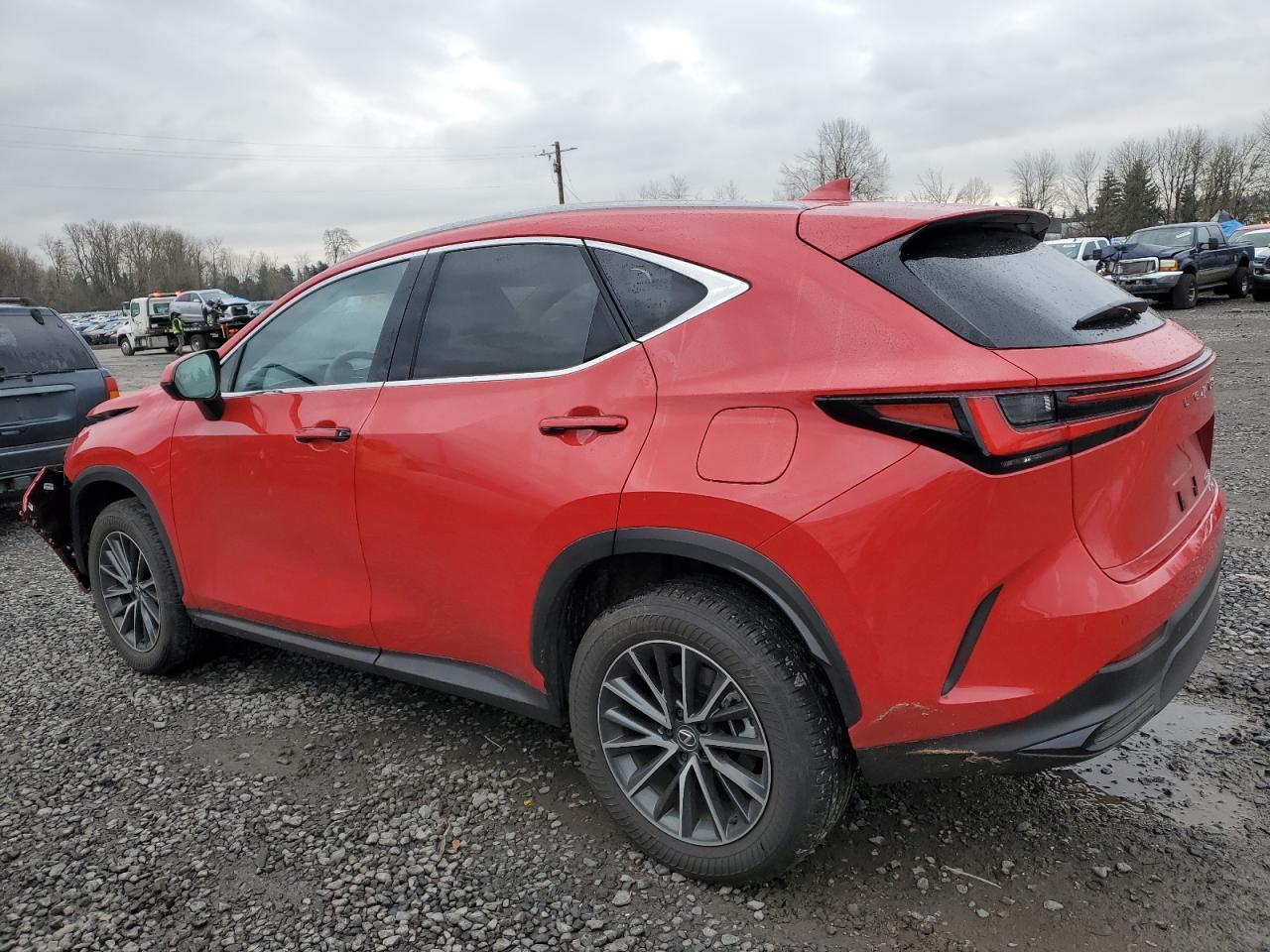2024 LEXUS NX 350H BA - Фото 2