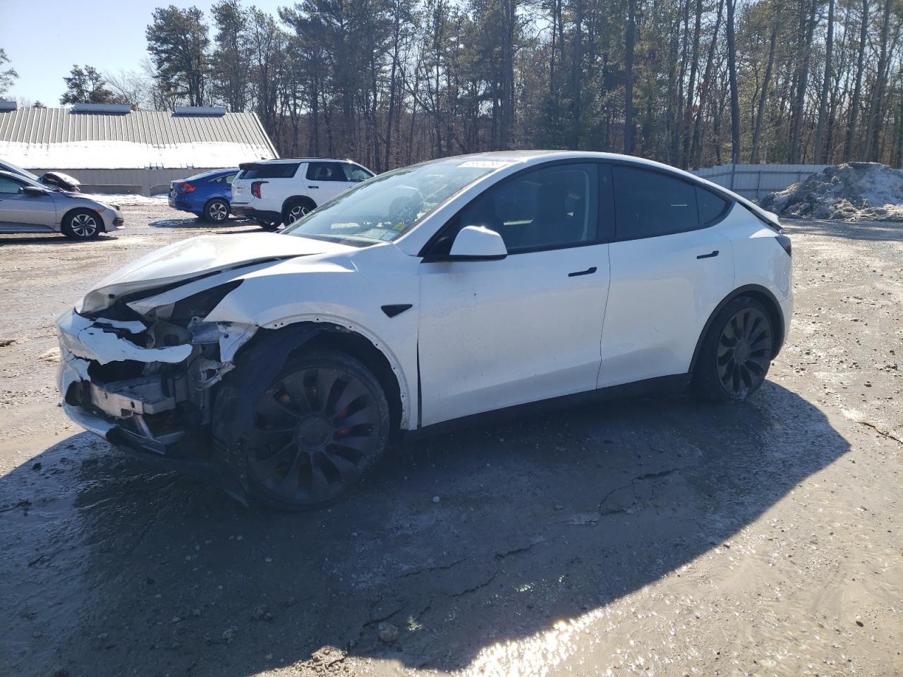 2023 TESLA MODEL Y
