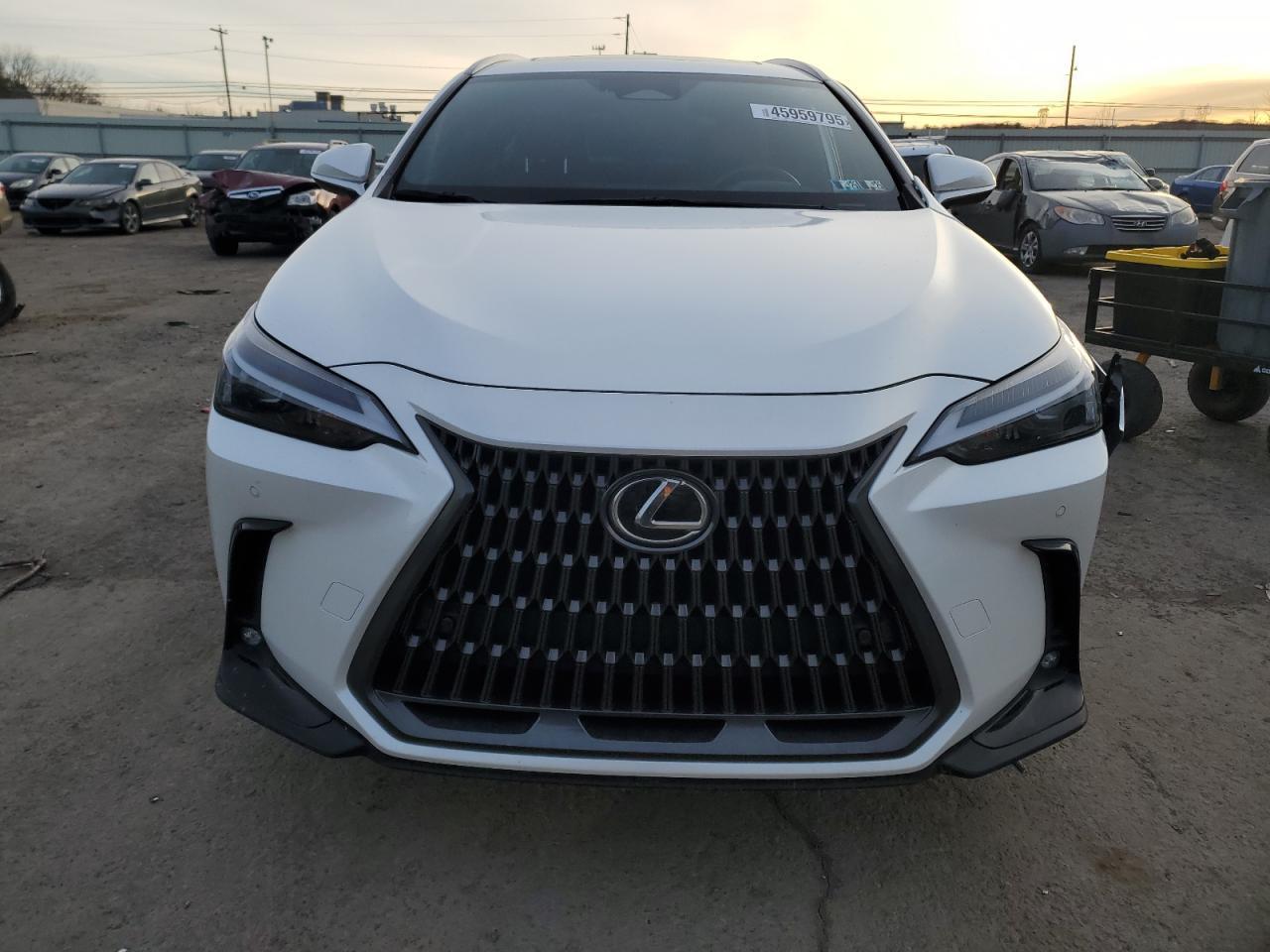 2024 LEXUS NX 350H BA - Image 5
