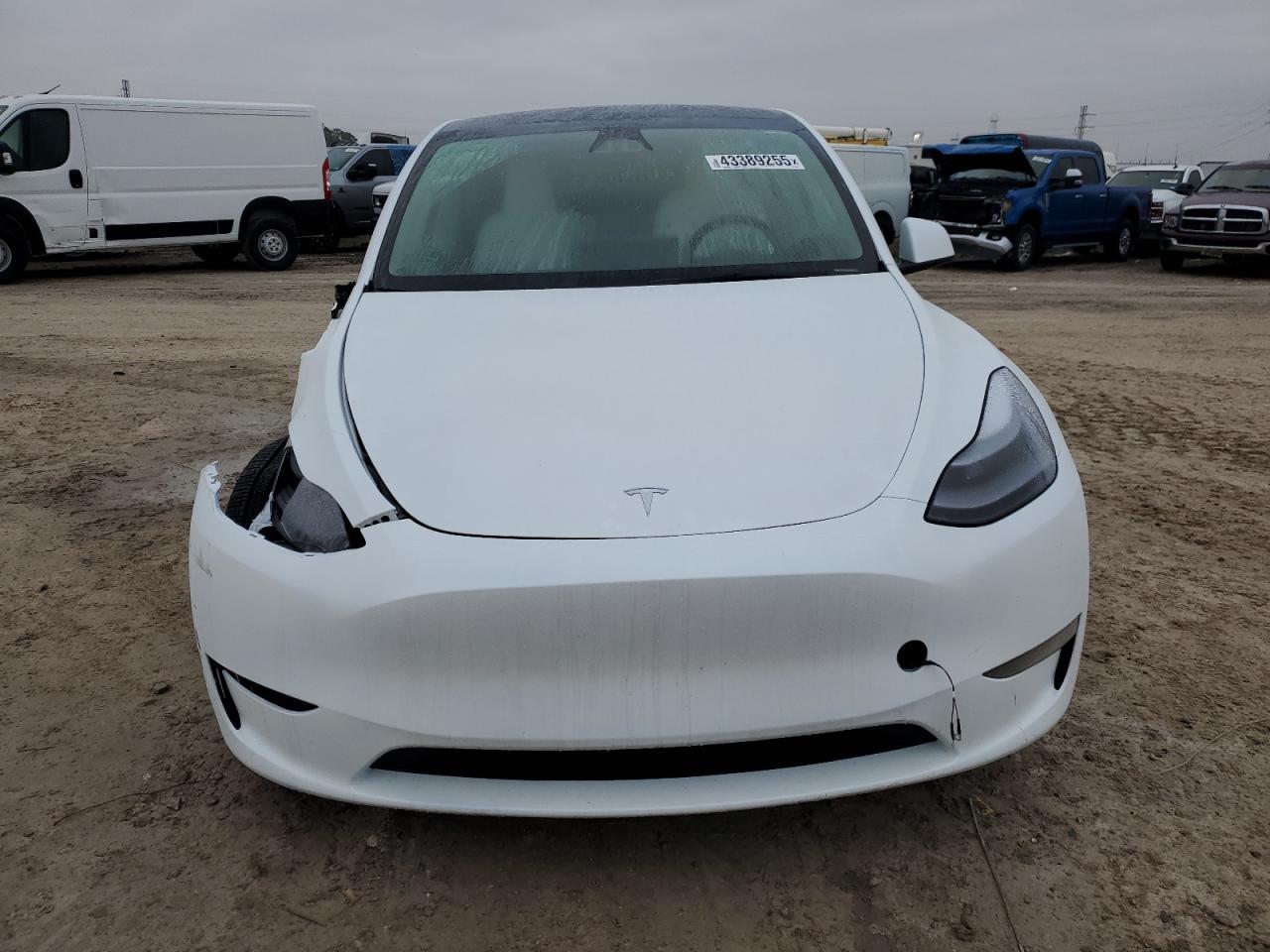 2025 TESLA MODEL Y - Image 5