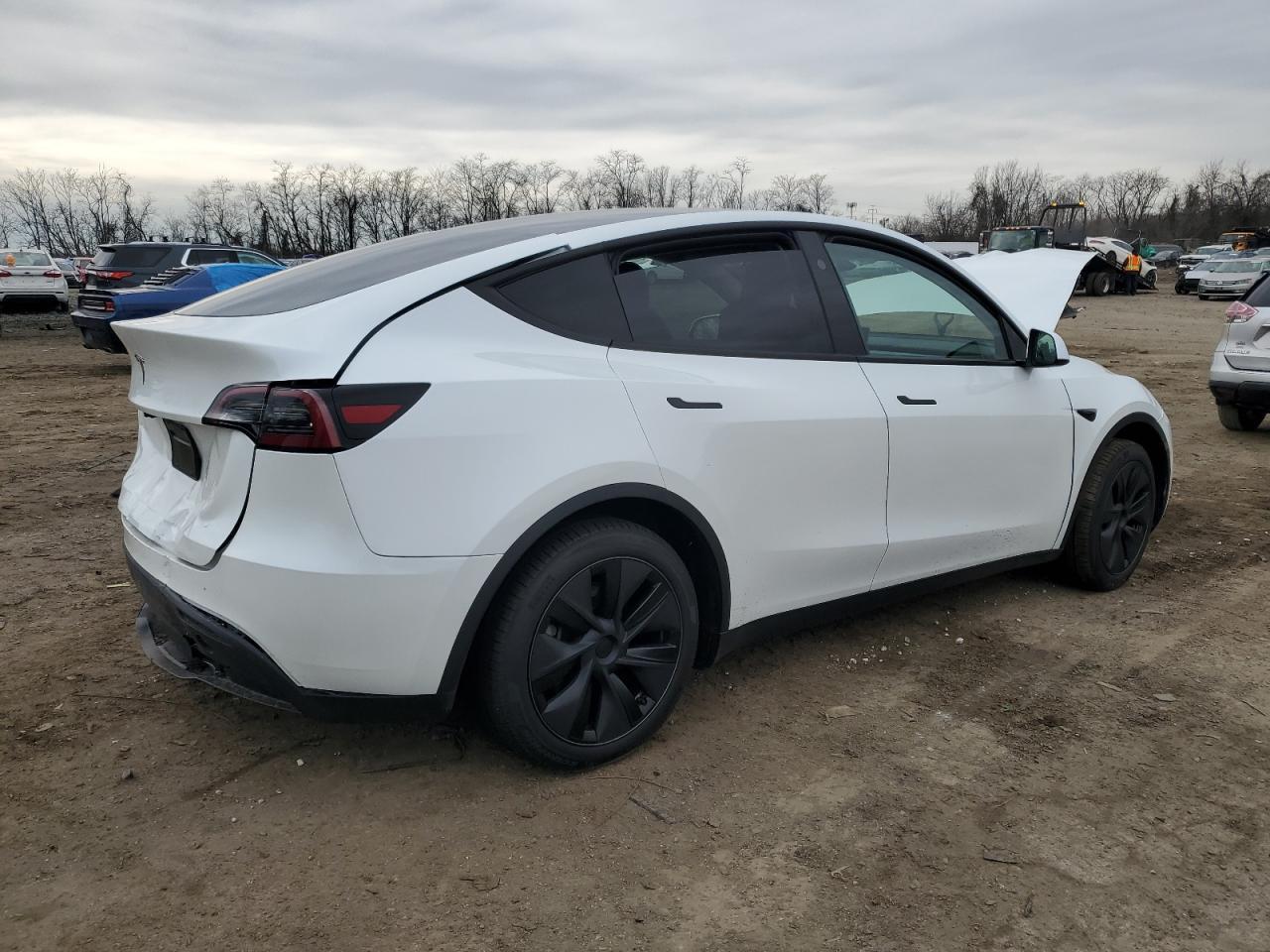 2025 TESLA MODEL Y - Image 3