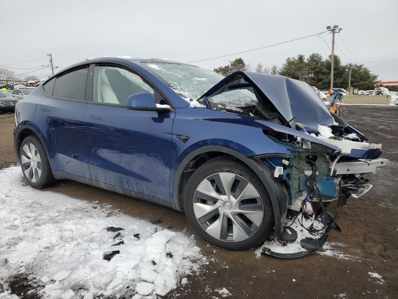 2023 TESLA MODEL Y - Фото 4