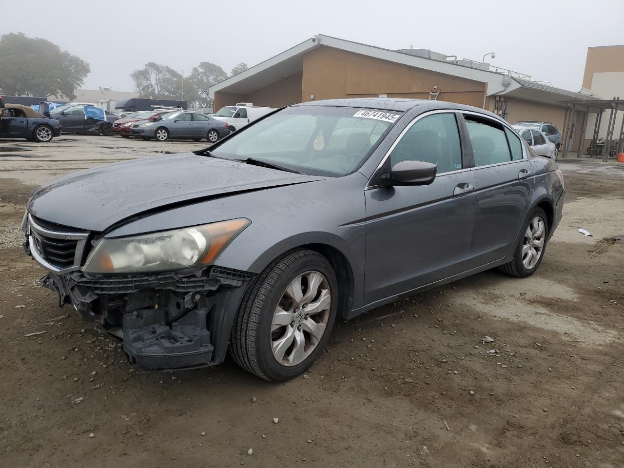 2010 HONDA ACCORD EXL
