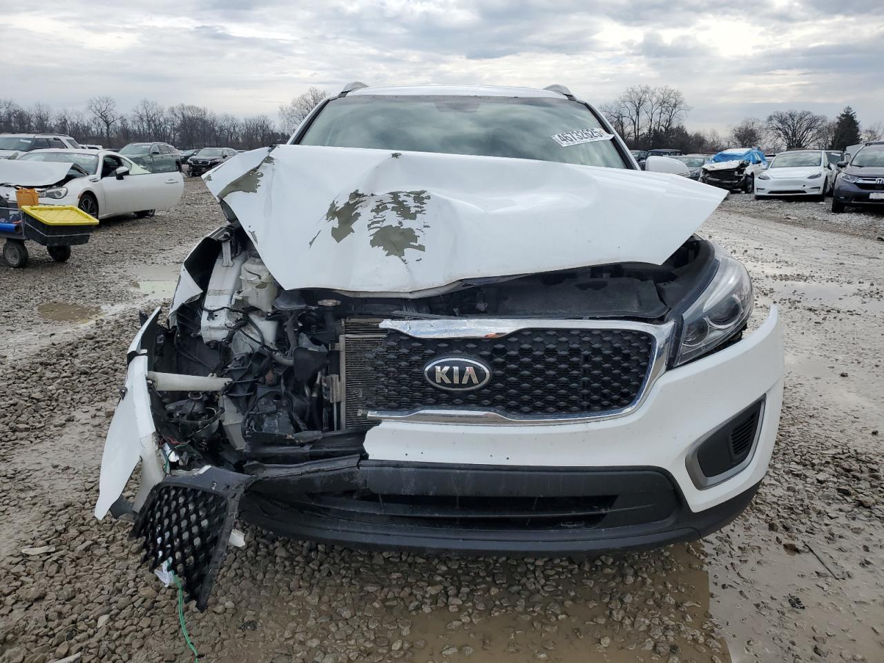 2016 KIA SORENTO LX - Image 5