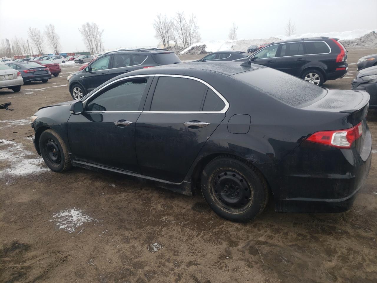2010 ACURA TSX - Image 2